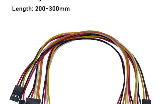 2p 3p 4p 5p 6p 7p 8p 9p 10p Femmina a Femmina 2.54mm Dupont Connector Ribbon Jumper Wire 1