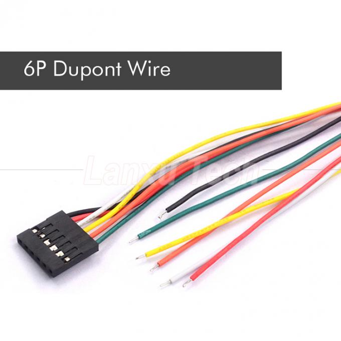 10cm 20cm 30cm 50cm 2 Pin 3 4 5 6 8 10 Pin Dupont 2.54mm Cable di connettore Jumper cablaggio 6