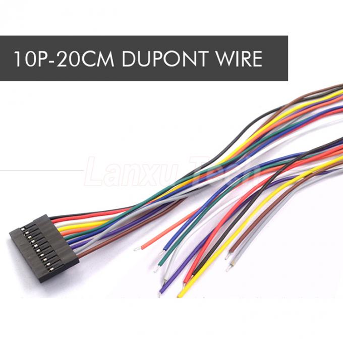 10cm 20cm 30cm 50cm 2 Pin 3 4 5 6 8 10 Pin Dupont 2.54mm Cable di connettore Jumper cablaggio 8