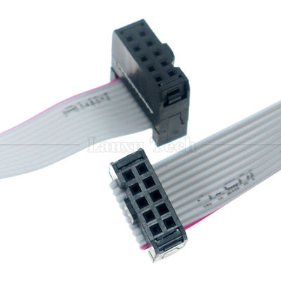 Femmina a Femmina 10 PIN 1,27mm Pitch IDC 2,54mm Connector GPIO Cable di filo a nastro piatto grigio per hard disk CD Raspberry Pi
